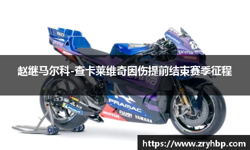 赵继马尔科-查卡莱维奇因伤提前结束赛季征程
