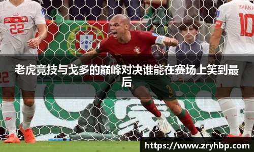 伟德bv国际体育